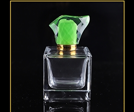 100ml Glass Perfume Bottle SNJGDA-P152