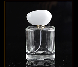 100ml Glass Perfume Bottle SNJGDA-P161