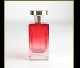 100ml Glass Perfume Bottle SNJGDA-P195