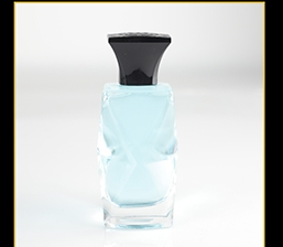 100ml Glass Perfume Bottle SNJGDA-P197